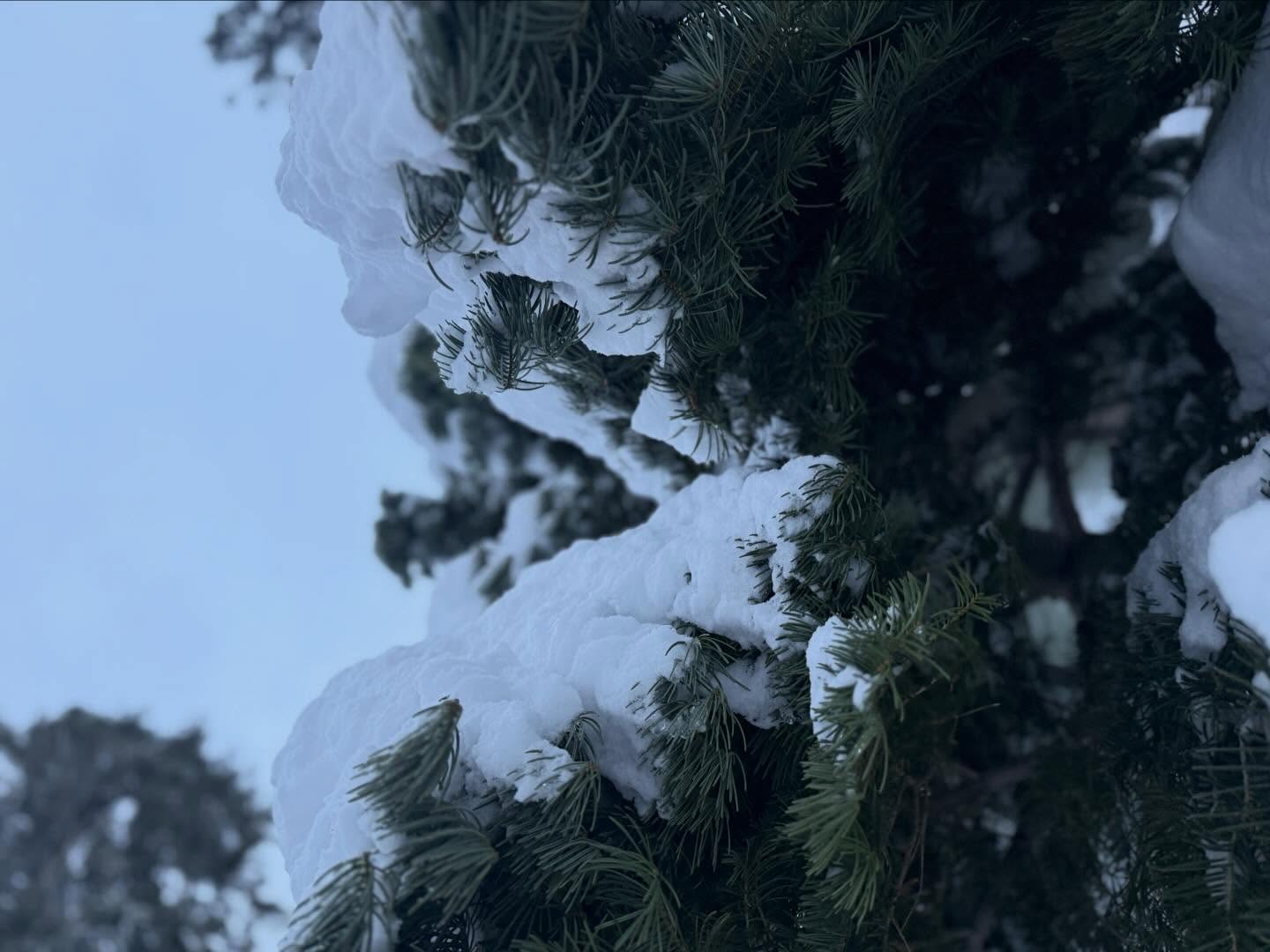 Snow 10